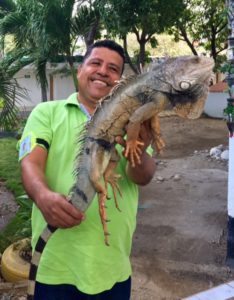 iguana keeper