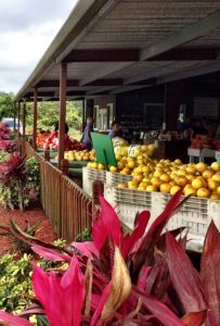 Fruit Stand